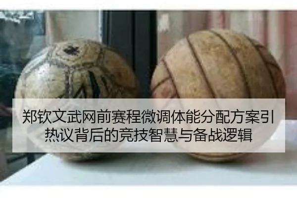 郑钦文武网前赛程微调体能分配方案引热议背后的竞技智慧与备战逻辑
